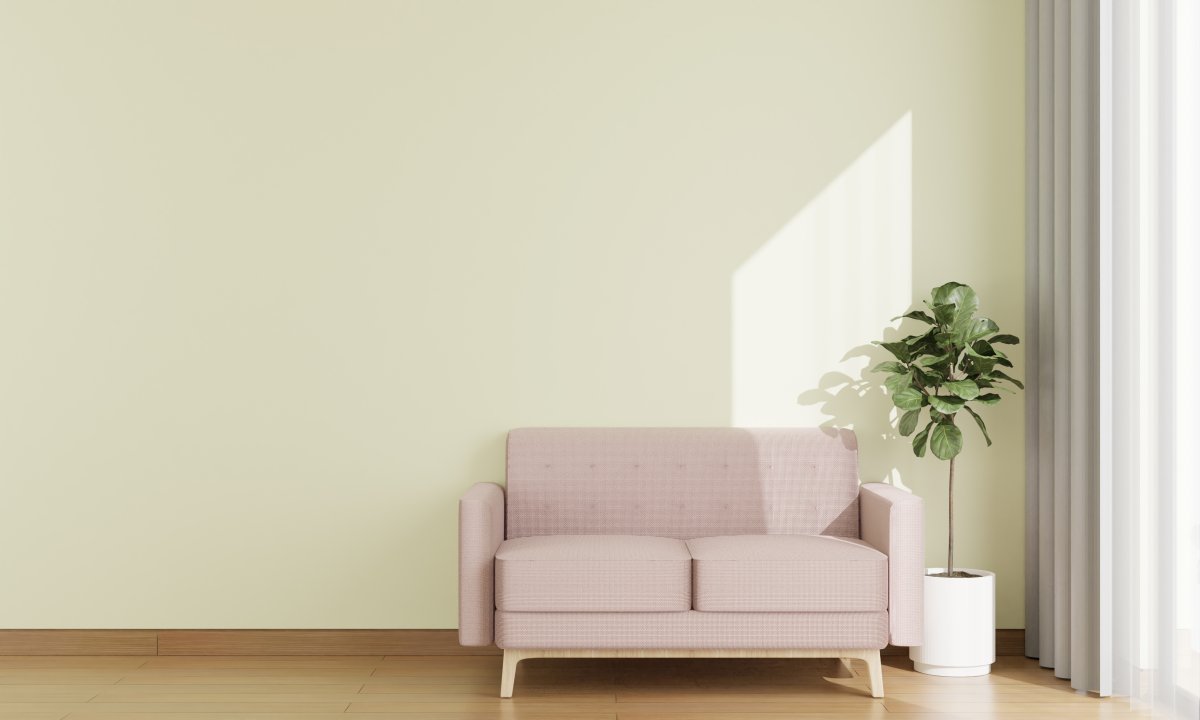 Renueva tu hogar para recibir el Año Nuevo con paredes llenas de vida